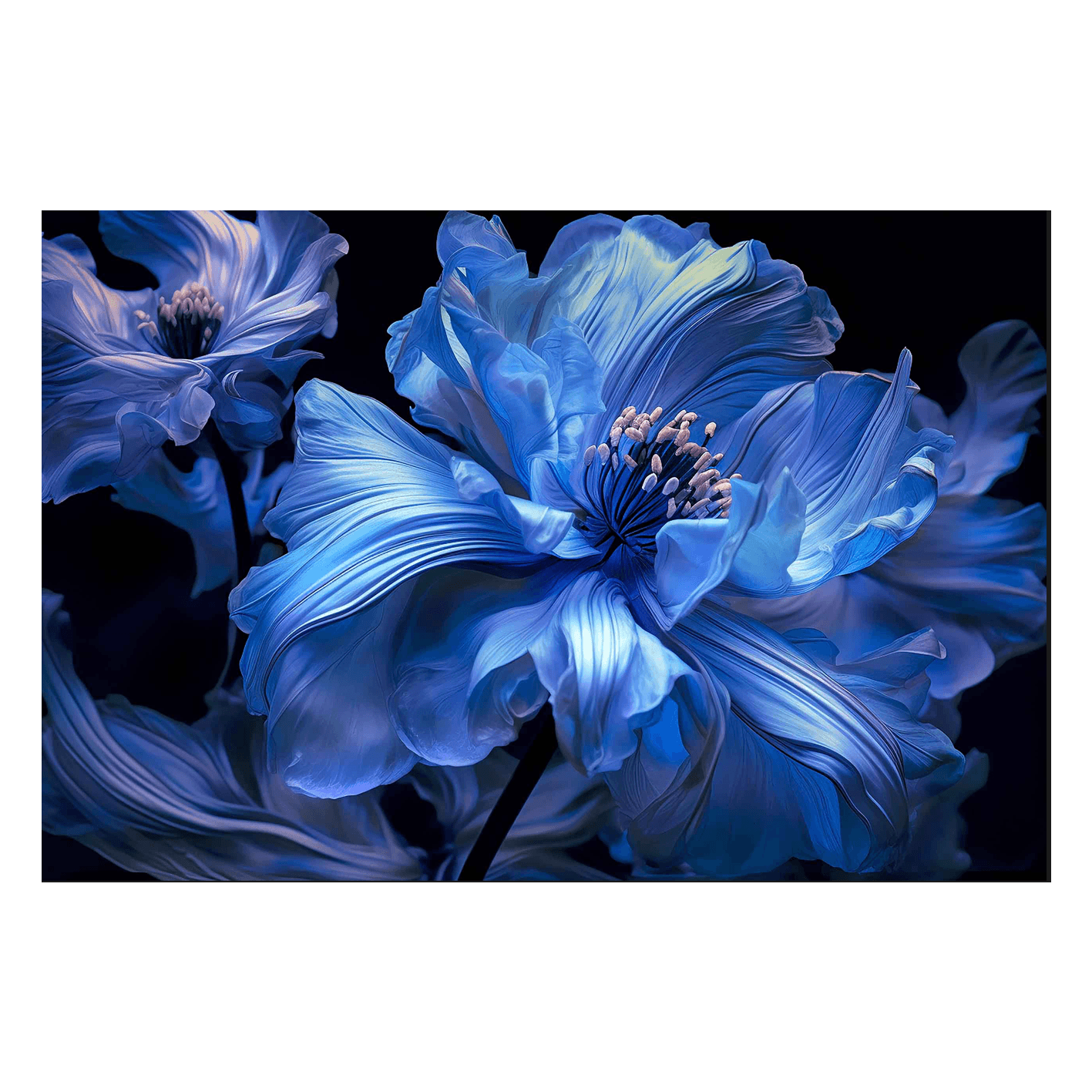 Wandbild Blue Cornflower Wandbild Blue Cornflower