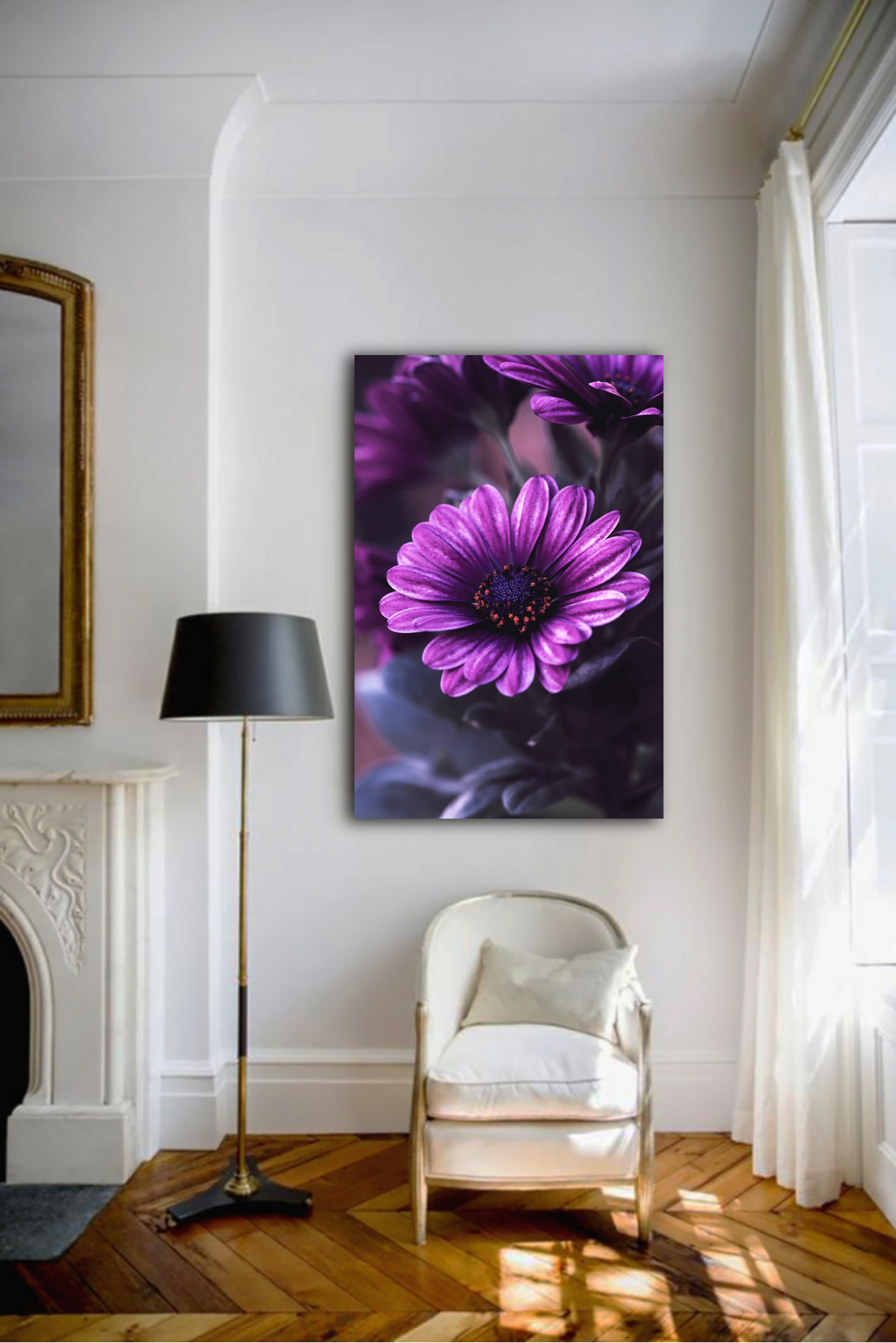 Wandbild Osteosperum - Wohnzimmer