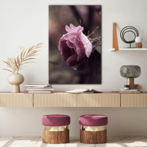 wandbild rosige wassertropfen sia flur