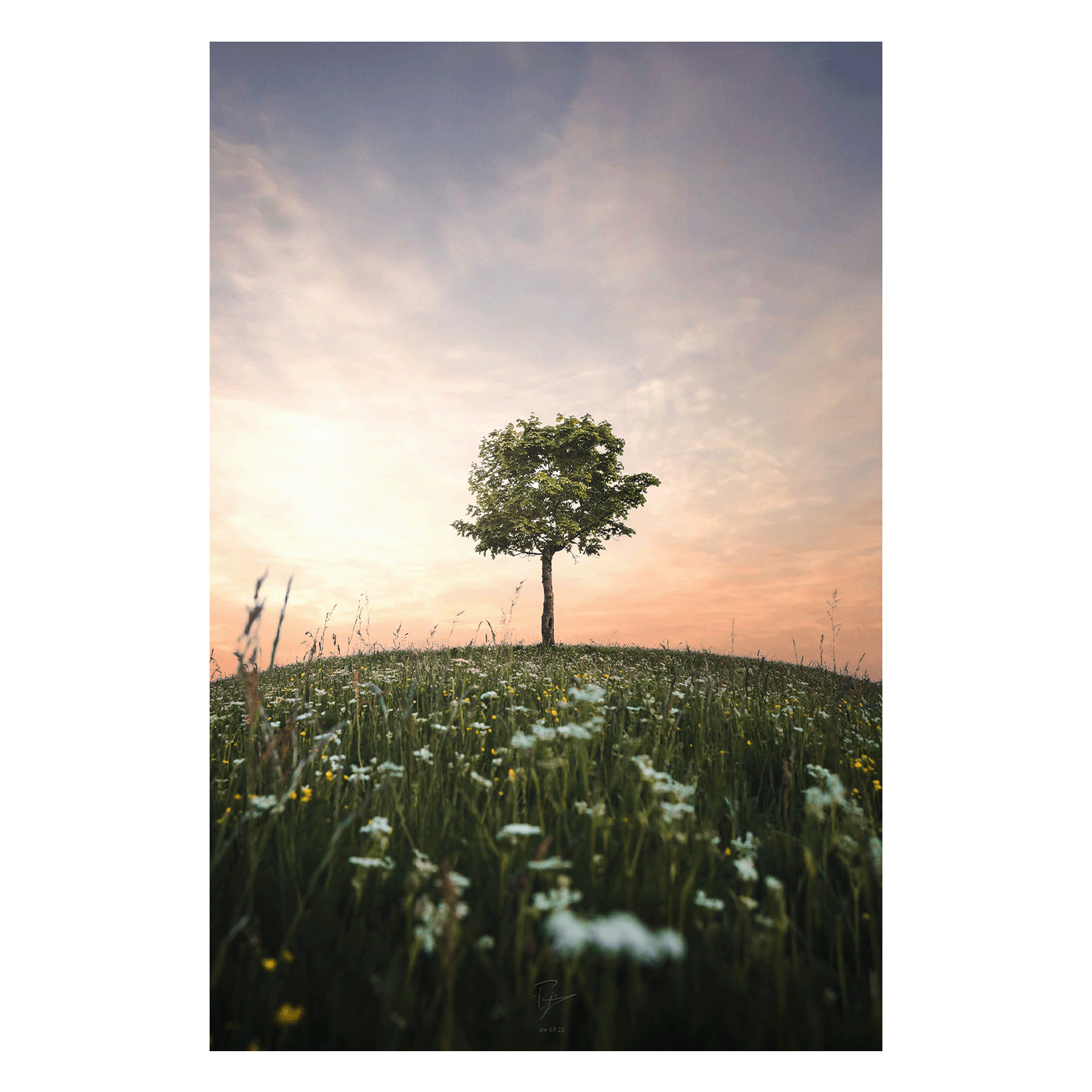 Wandbild Stiller Abendhügel Wandbild Stiller Abendhügel