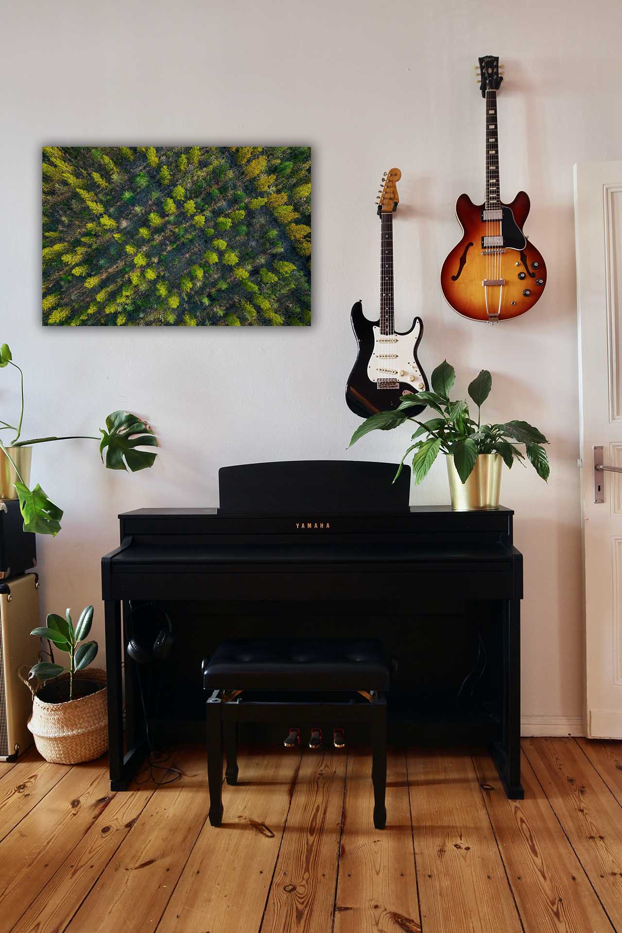 Wandbild Wald von oben - Flur