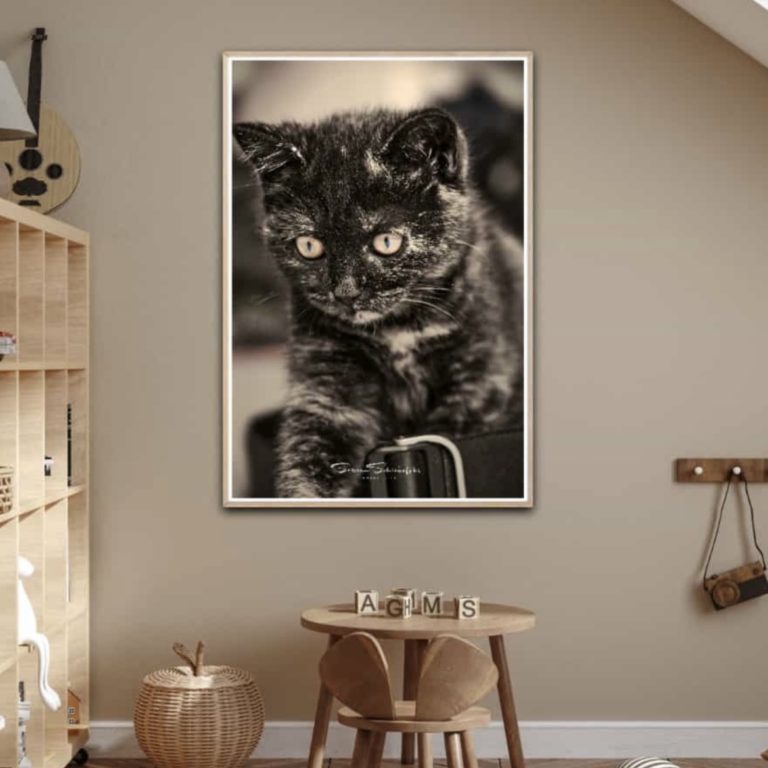 Wandbild Katzenliebe Tiere Natur Kinderzimmer Sabine Schiebofski
