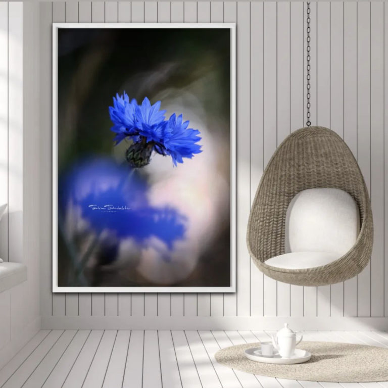 Wandbild Kornblume Natur Landschaft Wohnzimmer Sabine Schibofski