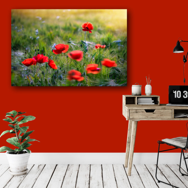 Wandbild Mohn 4 Natur Landschaft Arbeitszimmer Sabine Schiebofski