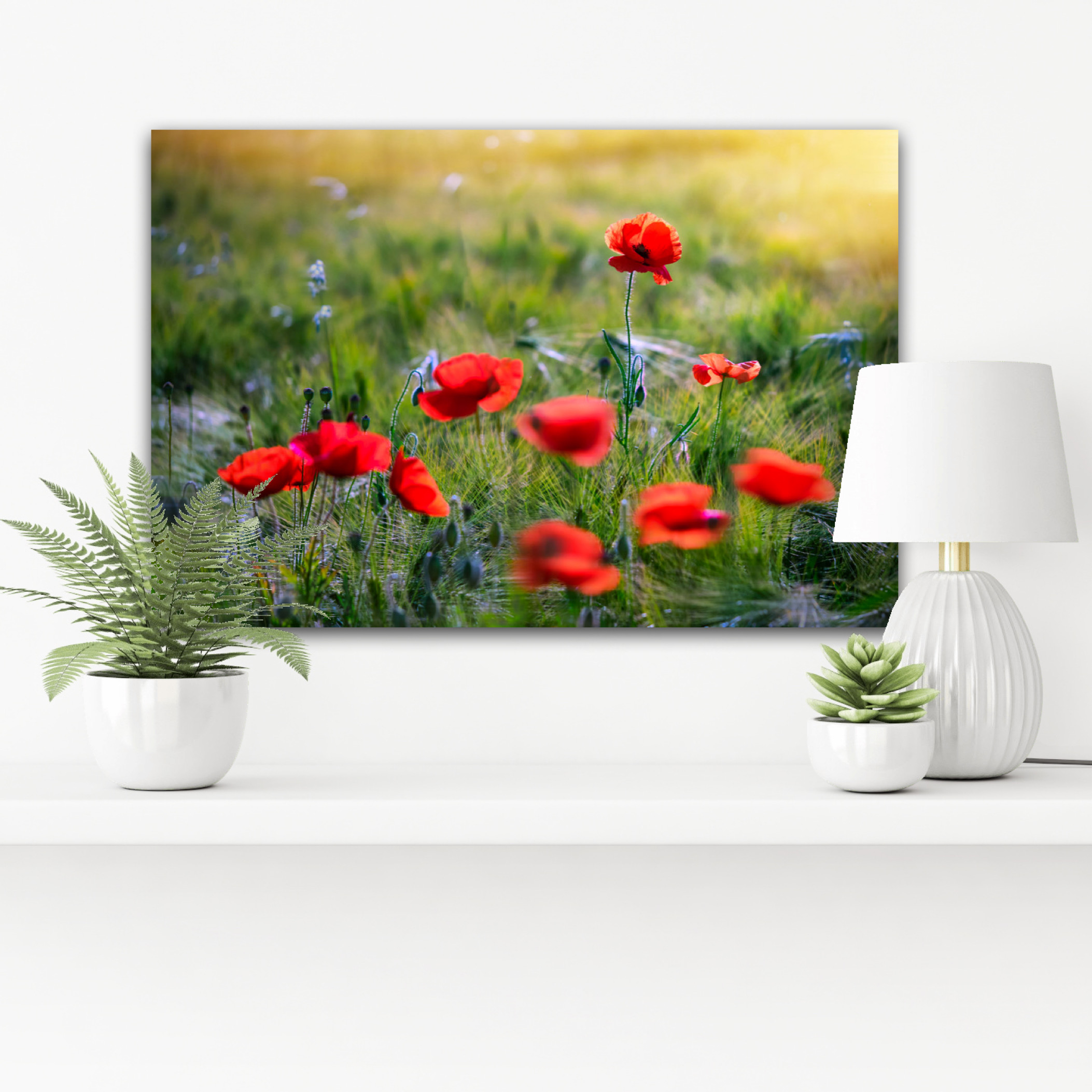 Wandbild Mohn 4 Natur Landschaft Flur Sabine Schiebofski Wandbild Mohn 4