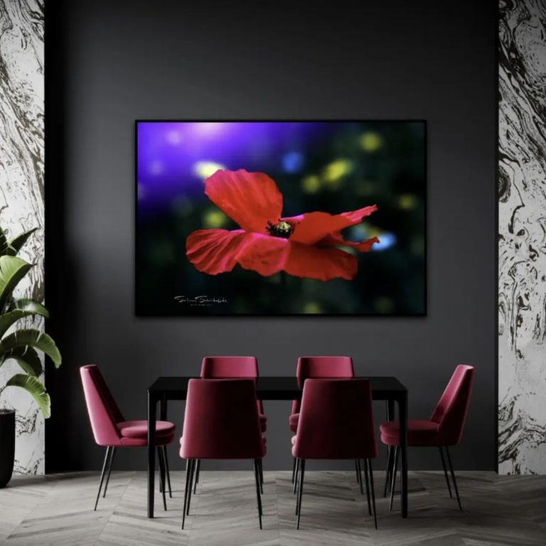 Wandbild Mohn 5 Natur Landschaft Esszimmer Sabine Schibofski