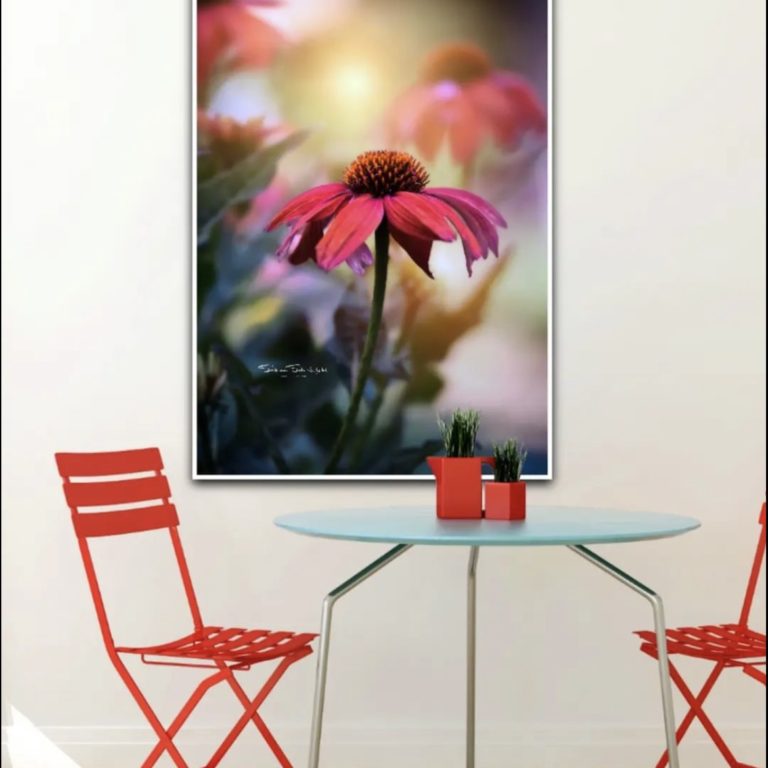 Wandbild PurpursonnenhutNatur Landschaft Esszimmer Sabine Schiebofski