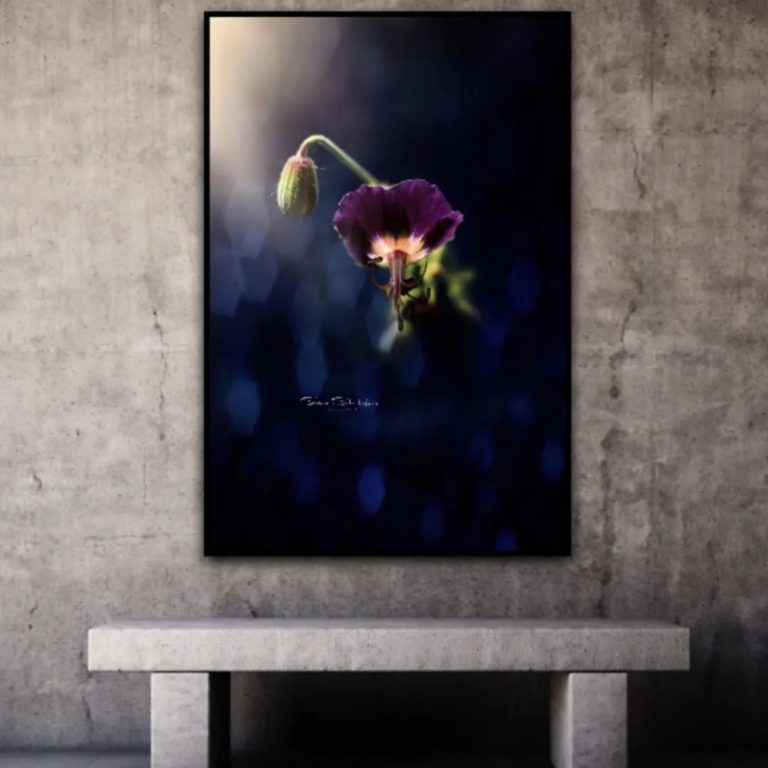 Wandbild Storchschnabel Natur Landschaft Flur Sabine Schibofski