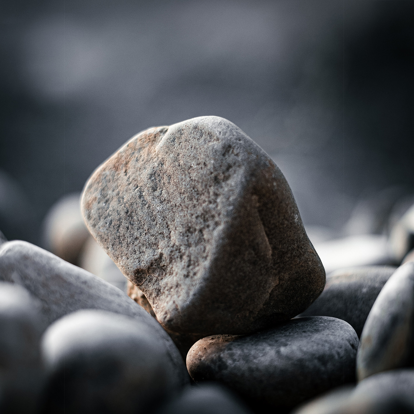 Wandbild Central Embrace Wandbild Central Embrace