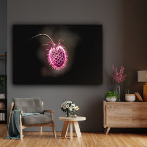 wandbild flower in pink natur marika gross wohnzimmer