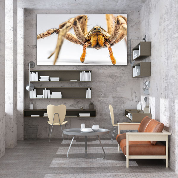 Wandbild einzigartig und modern - Spinne vor dem Angriff, 60 x 90 cm bis 120 x 180 cm