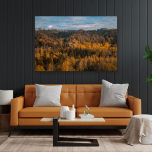 Wandbild Wald im Herbst
