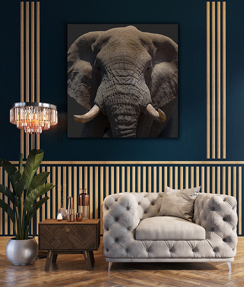 Wandbild Elefantenkopf farbig im Wohnzimmer, quadratisch, Tiere & Natur