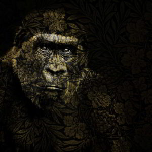 wandbild gorilla tiere natur