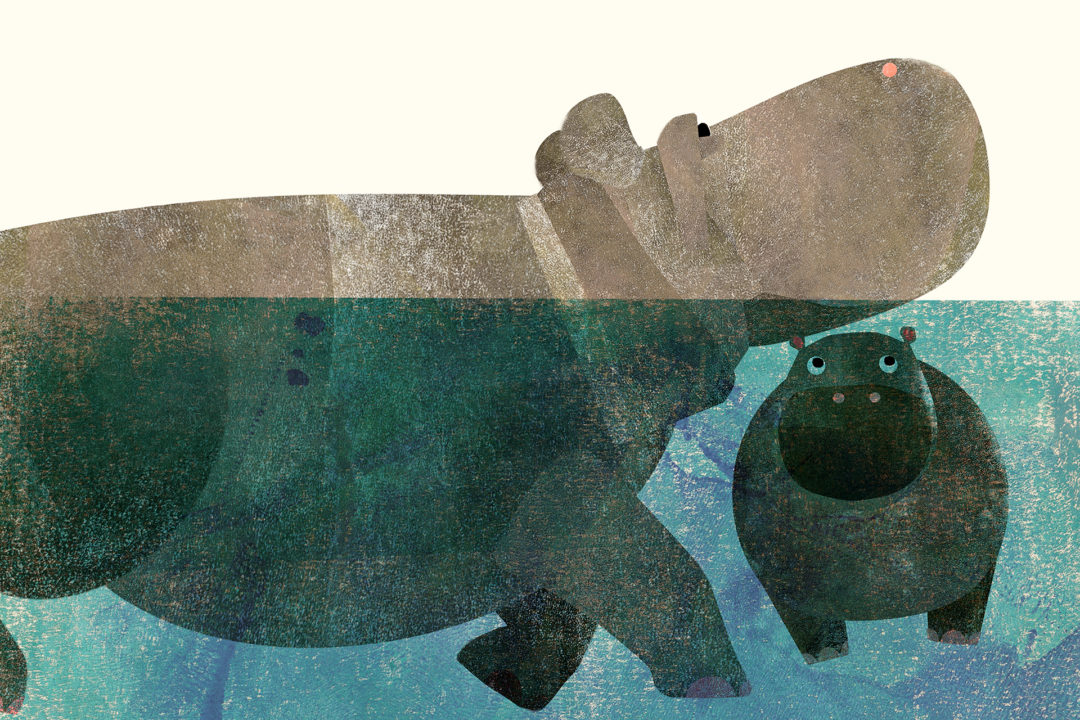 wandbild-hippos-tiere-illustration-kinderzimmer