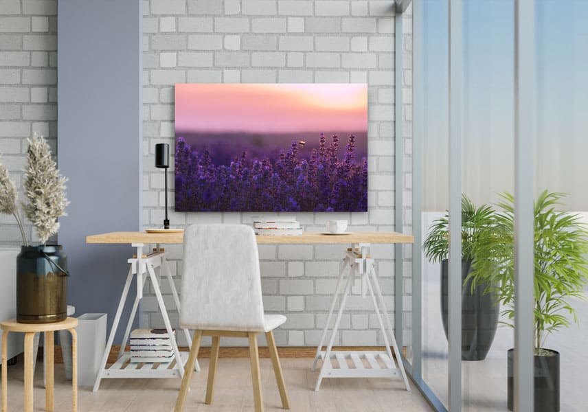 Wandbild Biene im Lavendelfeld im Wohnzimmer2, Natur & Landschaft