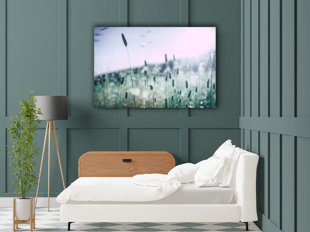 Wandbild Blaue Gräser im Schlafzimmer, Natur & Landschaft