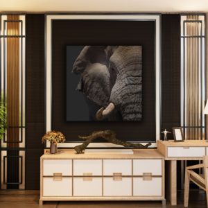 Wandbild Elefant farbig im Flur, Tiere & Natur