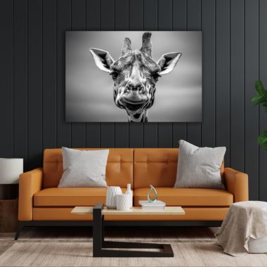 wandbild-giraffe-schwarz-weiss-natur-tiere-wohnzimmer2