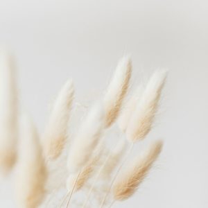 Wandbild Gräser in Pastell