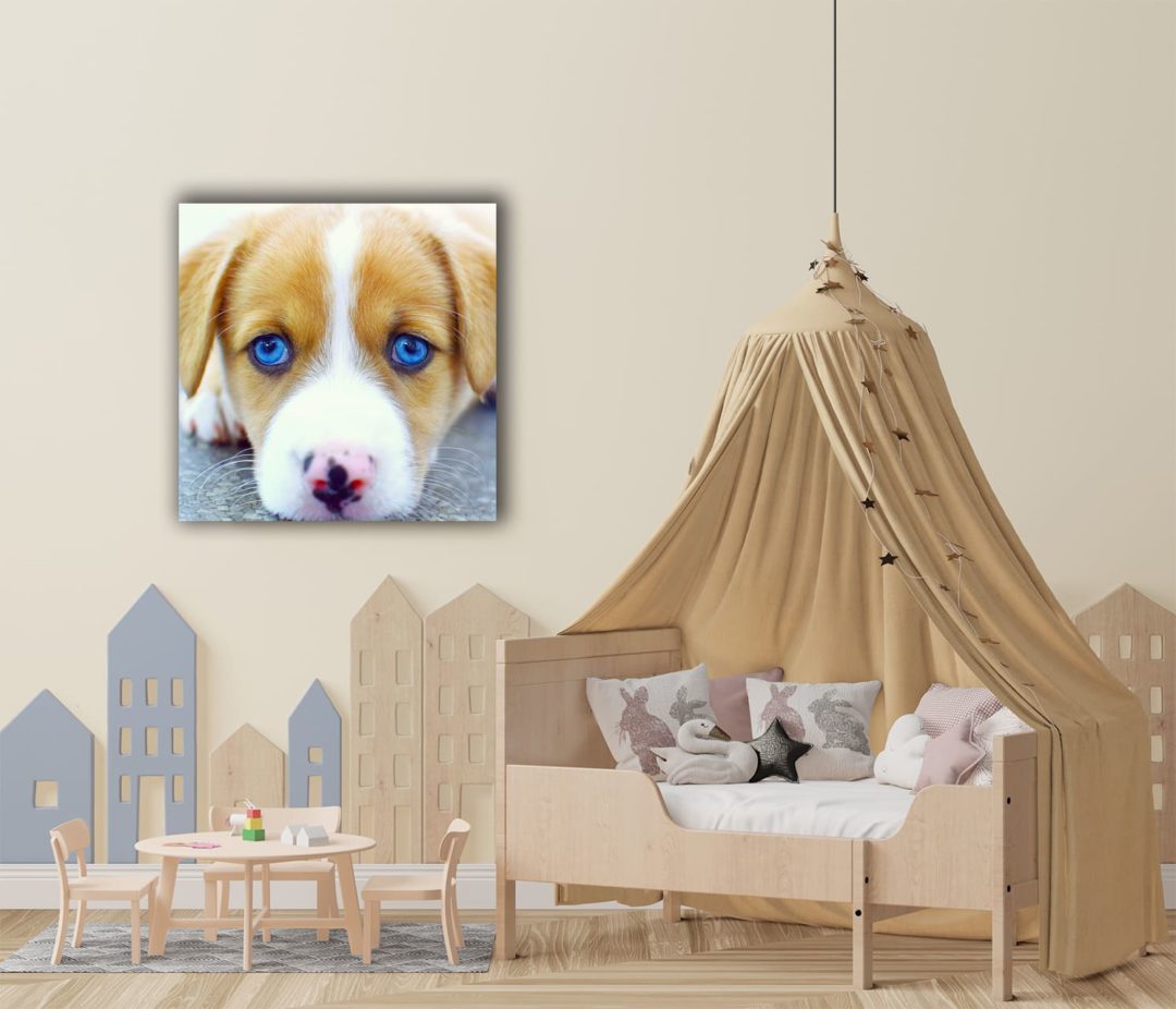 Wandbild Hund blaue Augen im Kinderzimmer2, Natur & Tiere