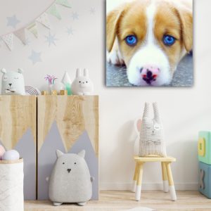 Wandbild Hund blaue Augen im Kinderzimmer, Natur & Tiere