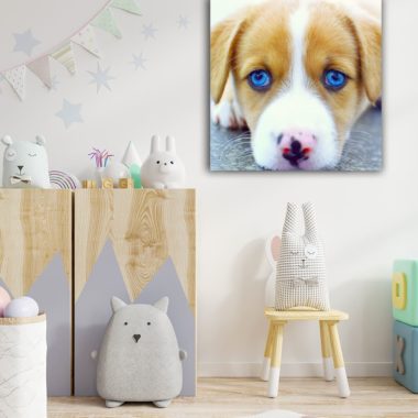 Wandbild Hund blaue Augen im Kinderzimmer, Natur & Tiere