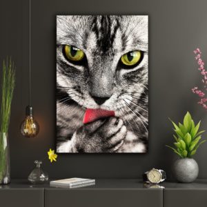 Wandbild Katzenpflege im Flur2, Natur & Tiere