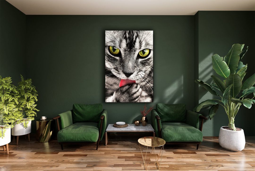 Wandbild Katzenpflege im Wohnzimmer, Natur & Tiere