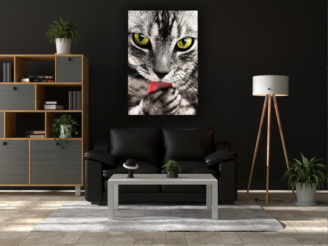 Wandbild Katzenpflege im Wohnzimmer2, Natur & Tiere