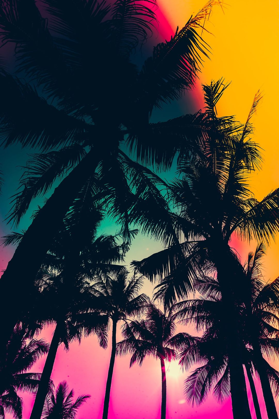 wandbild-palmensilhouette-mit-buntem-himmel-natur-landschaft-min