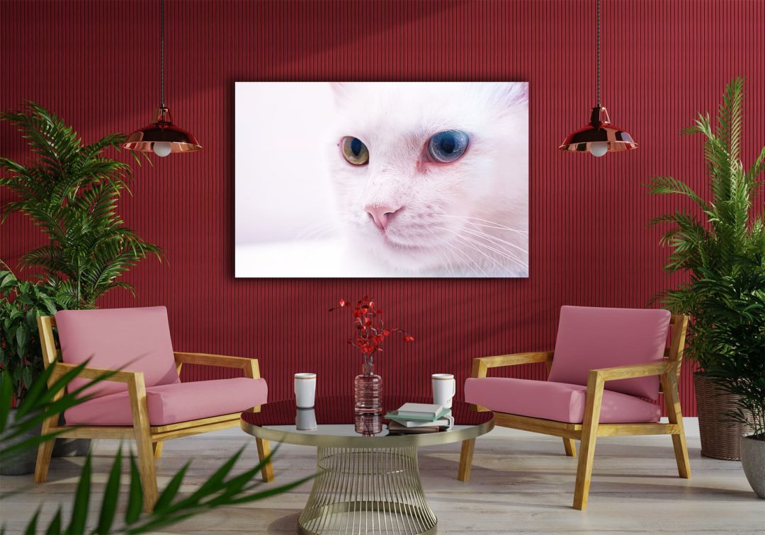 Wandbild rosa Katze im Wohnzimmer, Natur & Tiere