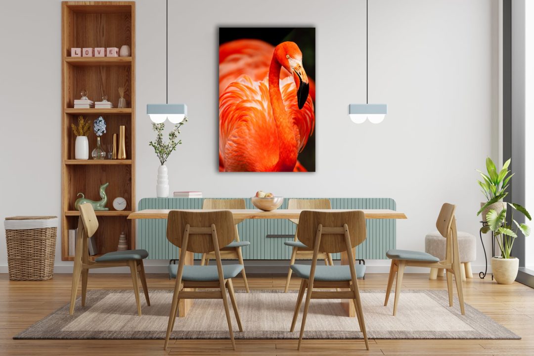 wandbild-roter-flamingo-natur-tiere-esszimmer-min