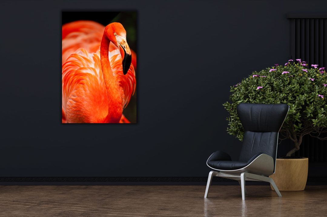 wandbild-roter-flamingo-natur-tiere-flur2-min