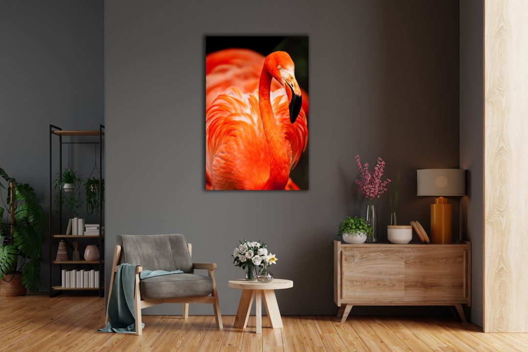 wandbild-roter-flamingo-natur-tiere-wohnzimmer1-min
