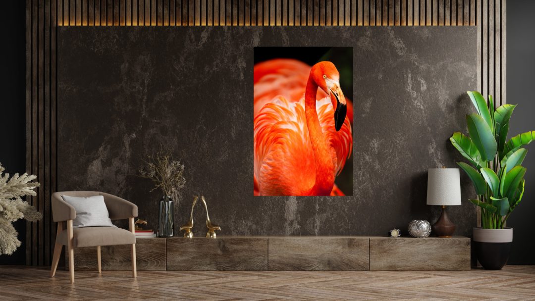 wandbild-roter-flamingo-natur-tiere-wohnzimmer2-min