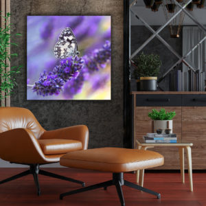 wandbild schmetterling natur landschaft wohnzimmer