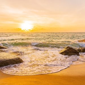 wandbild-tropischer-strand-natur-landschaft-min