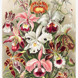 Wandbild Vintage Blumen, Illustration