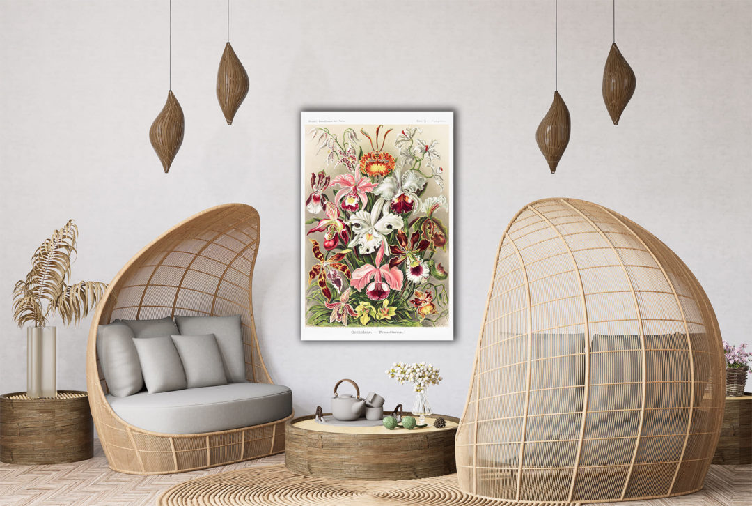 Wandbild Vintage Blumen im Wohnzimmer2, Illustration