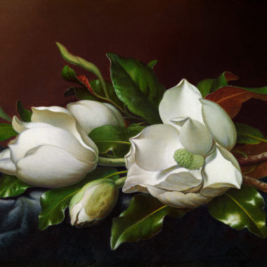 wandbild-vintage-magnolie-illustration