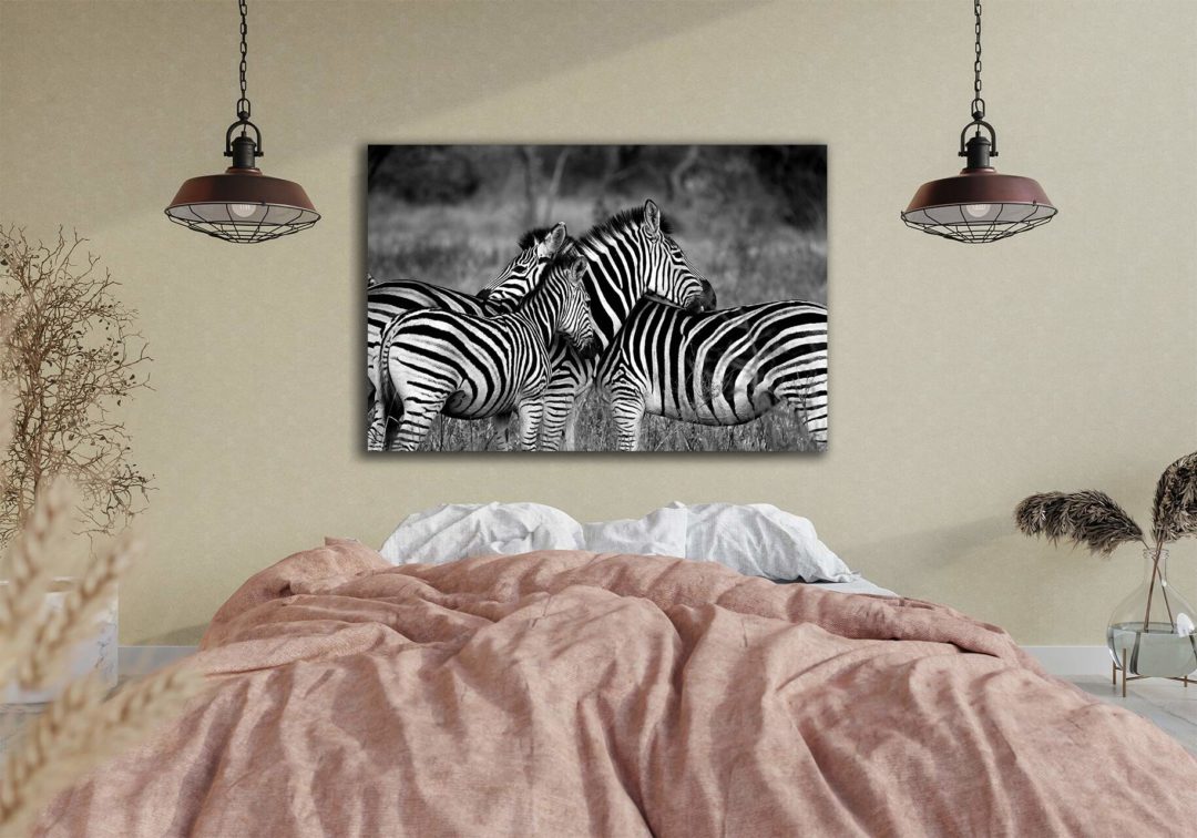 wandbild-zebras-wildniss-schwarz-weiss-natur-tiere-schlafzimmer1