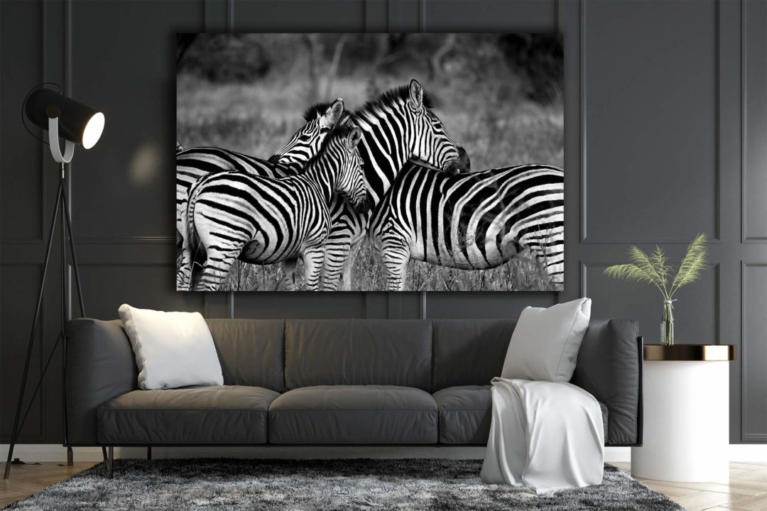 wandbild-zebras-wildniss-schwarz-weiss-natur-tiere-wohnzimmer2