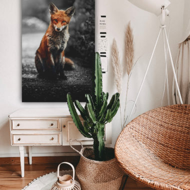 Wandbild Fuchs im Flur, Natur & Tiere