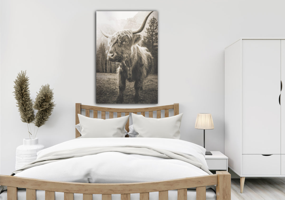 Wandbild Bulle stehend sepia im Schlafzimmer2, Tiere & Natur