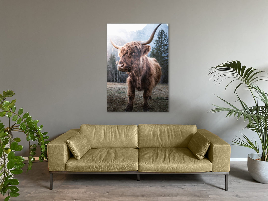 Wandbild Bulle stehend im Wohnzimmer2, Tiere & Natur