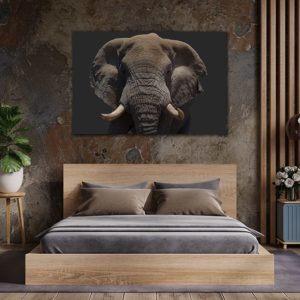 Wandbild Elefantenkopf farbig Querformat im Schlafzimmer, Natur & Tiere
