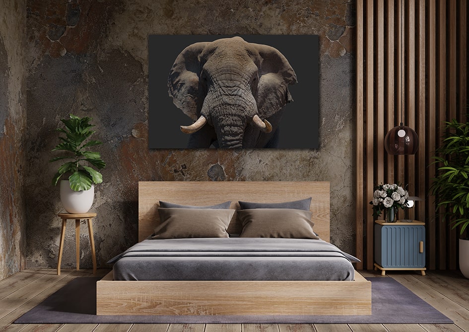 Wandbild Elefantenkopf farbig Querformat im Schlafzimmer, Natur & Tiere