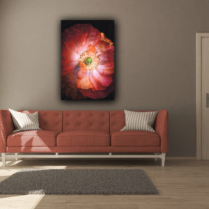 wandbild mohnbluetentraum natur abstrakt carola haese wohnzimmer