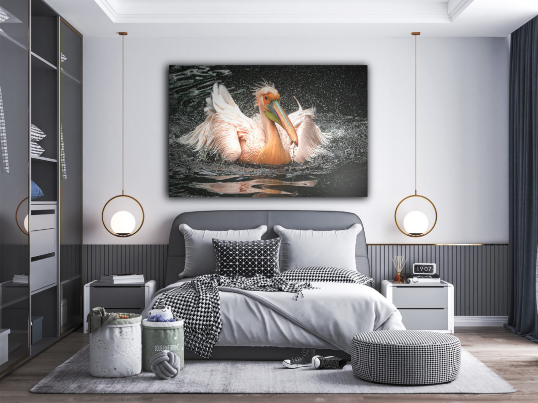wandbild-waschtag-beim-pelikan-natur-tiere-schlafzimmer